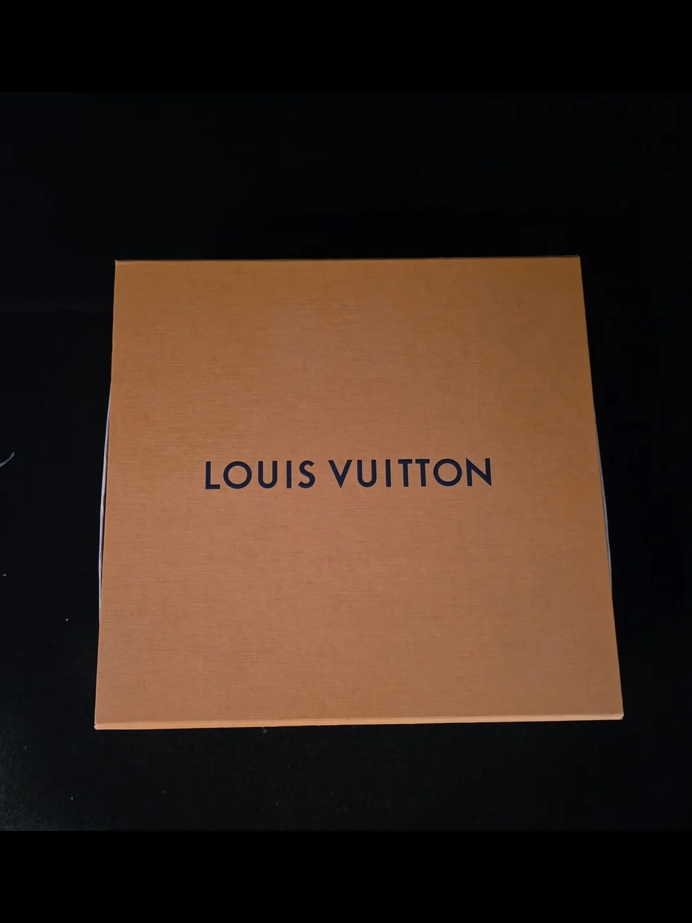 Louis Vuitton elegant top